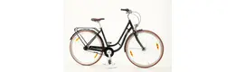 Pegasus Bici Italia 7 28 Zoll Tourenrad 7-Gang Rücktrittbremsnabe schwarz Rahmenhöhe: 55 cm