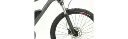 Bergamont E-Roxter 6.0 Ah Herrenfahrrad 9 Gang Kettenschaltung grau Bosch Rahmenhöhe: 42 cm