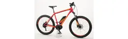 Focus Jarifa Plus Pro E-MTB  E-Bike Bosch Ah Herrenfahrrad 10 Gang Kettenschaltung rot Bosch Rahmenhöhe: 42 cm