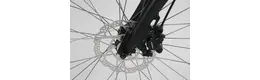 Steppenwolf 28 Zoll Herrenfahrrad 8 Gang Nabenschaltung anthrazit Rahmenhöhe: 54 cm