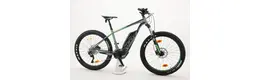 Scott E-Scale 720 Plus Ah Herrenfahrrad 11 Gang Kettenschaltung grau Bosch Rahmenhöhe: 40 cm