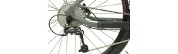 Bergamont E-Roxter 6.0 Ah Herrenfahrrad 9 Gang Kettenschaltung grau Bosch Rahmenhöhe: 42 cm