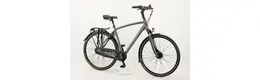 Gazelle Vento C7 28 Zoll City-/Trekkingbike 7-Gang Freilaufnabe grau Rahmenhöhe: 57 cm