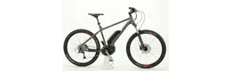Bergamont E-Roxter 6.0 Ah Herrenfahrrad 9 Gang Kettenschaltung grau Bosch Rahmenhöhe: 42 cm