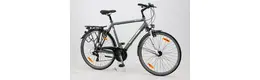 Pegasus Piazza 28 Zoll Herrenfahrrad 21 Gang Kettenschaltung grau Rahmenhöhe: 53 cm