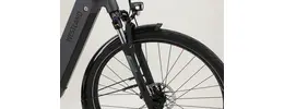 Westland On Tour City- Trekking E-Bike 5-Gang Rücktrittbremsnabe 625Wh 16,7 Ah Akku grau Bosch Rahmenhöhe: 53 cm