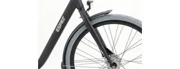 Gazelle Esprit C7 Cityrad 7 Gang mit Rücktrittbremse 28 Zoll Herrenfahrrad 7 Gang Nabenschaltung schwarz Rahmenhöhe: 54 cm
