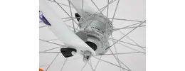 Pegasus Avanti 26 Zoll Damenfahrrad 3 Gang Nabenschaltung violett Rahmenhöhe: 38 cm 405820-04.jpg