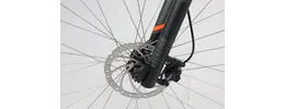 Bulls King Kobra Disc 29 29 Zoll Herrenfahrrad 30 Gang Kettenschaltung grau Rahmenhöhe: 41 cm 338986-06.jpg