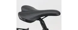 Maxcycles XG 8.2 Continental 11,6 Ah Herrenfahrrad 8 Gang Nabenschaltung schwarz Continental Rahmenhöhe: 53 cm