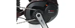 Bergamont E-Roxter 6.0 Plus Ah Herrenfahrrad 9 Gang Kettenschaltung rot Bosch Rahmenhöhe: 42 cm 429555-06.jpg