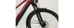 Pegasus Premio EVO 10 Lite 29 Zoll Trekking E-Bike 10-Gang Kettenschaltung 625Wh rot Bosch Rahmenhöhe: S (45 cm) 816086-04.jpg