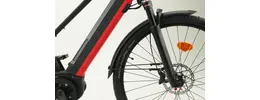 Kalkhoff Entice 5.B Excite 28" Pedelec 12-Gang Kette 625Wh 17,4 Ah Damenfahrrad 12 Gang rot Kalkhoff Rahmenhöhe: 43 cm