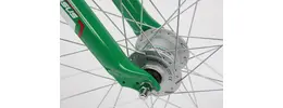 Pegasus Avanti-Sport 26 Zoll Herrenfahrrad 7 Gang Nabenschaltung weiß Rahmenhöhe: 38 cm 405495-04.jpg