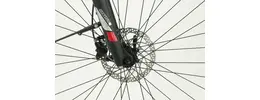 Pegasus Premio E10 Sport Pedelec/E-Bike 10-Gang 13,4 Ah Damenfahrrad 10 Gang Kettenschaltung rot Bosch Rahmenhöhe: 45 cm