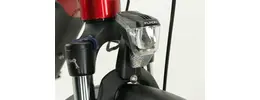 Pegasus Premio E10 Sport Pedelec/E-Bike 10-Gang 13,4 Ah Damenfahrrad 10 Gang Kettenschaltung rot Bosch Rahmenhöhe: 45 cm