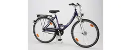 Pegasus Avanti 26 Zoll Damenfahrrad 3 Gang Nabenschaltung violett Rahmenhöhe: 38 cm 405820-01.jpg