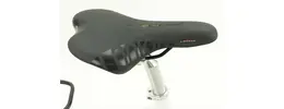 EBIKE Z003 Capri 400 Watt Intuvia E-Bike 11 Ah Damenfahrrad 10 Gang Kettenschaltung weiß Bosch Rahmenhöhe: 48 cm