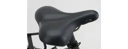 Pegasus Comfort SL 3 28 Zoll Wave Damenrad 3-Gang Nabenschaltung mit Rücktrittbremse schwarz Rahmenhöhe: 46 cm