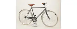 Gazelle Van Steel V7 Herren 28" City-Trekking Racer 7-Gang Freilaufnabe 28 Zoll unisex Nabenschaltung grau Rahmenhöhe: 64 cm