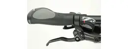 Gazelle CityZen T10 HMB Pedelec 500 Wh Ah Herrenfahrrad 10 Gang Kettenschaltung grau Bosch Rahmenhöhe: 53 cm
