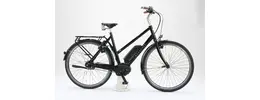 Wanderer E600 Performance Trekking-E-Bike/Pedelec 8-Gang Freilauf Ah Damenfahrrad 8 Gang Nabenschaltung schwarz Bosch Rahmenhöhe: 46 cm