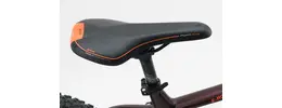 Bergamont E-Roxter 6.0 Plus Ah Herrenfahrrad 9 Gang Kettenschaltung rot Bosch Rahmenhöhe: 42 cm 429555-04.jpg