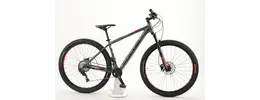 Focus Whistler SL 29 Zoll Herrenfahrrad 22 Gang Kettenschaltung grau Rahmenhöhe: 40 cm 312358-01.jpg