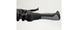 Westland On Tour City- Trekking E-Bike 5-Gang Rücktrittbremsnabe 625Wh 16,7 Ah Akku grau Bosch Rahmenhöhe: 53 cm