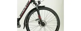 Westland Premium E N8 28 Zoll Wave E-Bike 8-Gang Nabenschaltung 500Wh 13Ah Akku schwarz Bosch Rahmenhöhe: 53 cm