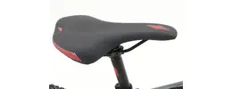 Focus Whistler SL 29 Zoll Herrenfahrrad 22 Gang Kettenschaltung grau Rahmenhöhe: 40 cm 312358-05.jpg