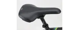 Bergamont 28 Zoll Herrenfahrrad 2 Gang Nabenschaltung schwarz Rahmenhöhe: 48 cm 429282-05.jpg