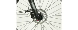 Flyer Gotour6 7.03 Pedelec 8-Gang Freilauf Ah Damenfahrrad 8 Gang Nabenschaltung rot Bosch Rahmenhöhe: 45 cm
