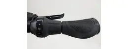 Kalkhoff Image 5.B Move + RT E-Bike 5-Gang Rücktrittbremsnabe 625Wh 16,7 Ah Akku schwarz Bosch Rahmenhöhe: S (43 cm)