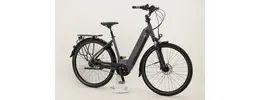 Westland On Tour City- Trekking E-Bike 5-Gang Rücktrittbremsnabe 625Wh 16,7 Ah Akku grau Bosch Rahmenhöhe: 53 cm
