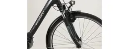 Westland Basic E7N 28 Zoll E-Bike 7-Gang Rücktrittbremsnabe 400Wh 11Ah schwarz Bosch Rahmenhöhe: 49 cm