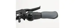 Westland Basic E7N 28 Zoll E-Bike 7-Gang Rücktrittbremsnabe 300Wh 8,2Ah Akku schwarz  Rahmenhöhe: 49 cm