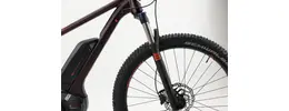 Bergamont E-Roxter 6.0 Plus Ah Herrenfahrrad 9 Gang Kettenschaltung rot Bosch Rahmenhöhe: 42 cm 429555-03.jpg