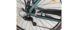 Pegasus Piazza 21 28" Trekkingbike 21-Gang Shimano Kettenschaltung 28 Zoll unisex Kettenschaltung grün Rahmenhöhe: S