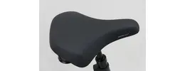 Kalkhoff Image 5.B Move + RT E-Bike 5-Gang Rücktrittbremsnabe 625Wh 16,7 Ah Akku schwarz Bosch Rahmenhöhe: S (43 cm)