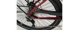 Pegasus Premio EVO 10 Lite 29 Zoll Trekking E-Bike 10-Gang Kettenschaltung 625Wh rot Bosch Rahmenhöhe: S (45 cm) 816086-05.jpg