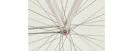 Gazelle Miss Grace C7 HMB City-Pedelec / E-Bike 7-Gang Freilauf 11,6 Ah Damenfahrrad 7 Gang Nabenschaltung rosa Bosch Rahmenhöhe: 46 cm