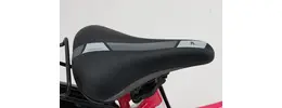 Pegasus Avanti 20" Trekkingbike 7-Gang Shimano Nabenschaltung 20 Zoll jugendfahrrad Nabenschaltung pink Rahmenhöhe: 28 cm