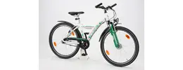 Pegasus Avanti-Sport 26 Zoll Herrenfahrrad 7 Gang Nabenschaltung weiß Rahmenhöhe: 38 cm 405495-01.jpg