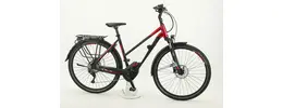 Pegasus Premio E10 Sport Pedelec/E-Bike 10-Gang 13,4 Ah Damenfahrrad 10 Gang Kettenschaltung rot Bosch Rahmenhöhe: 45 cm