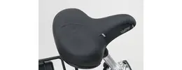 Pfau-Tec Pronto 20/26 Zoll E-Dreirad 7-Gang Rücktrittbremsnabe 509Wh 14Ah Akku schwarz Rahmenhöhe: 46 cm