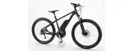 Bergamont E-Roxter 6.0 Plus Ah Herrenfahrrad 9 Gang Kettenschaltung rot Bosch Rahmenhöhe: 42 cm 429555-01.jpg