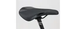 Bulls King Kobra Disc 29 29 Zoll Herrenfahrrad 30 Gang Kettenschaltung grau Rahmenhöhe: 41 cm 338986-04.jpg