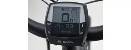 Westland On Tour City- Trekking E-Bike 5-Gang Rücktrittbremsnabe 625Wh 16,7 Ah Akku grau Bosch Rahmenhöhe: 53 cm