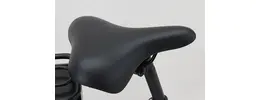 Saxxonette Advanced Sport 7K 28 Zoll Damen E-Bike mit 7-Gang Kettenschaltung 375Wh 10,4Ah silber Rahmenhöhe: 50 cm
